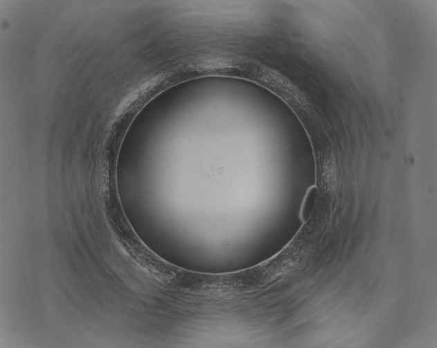 X0000070360732200606231622