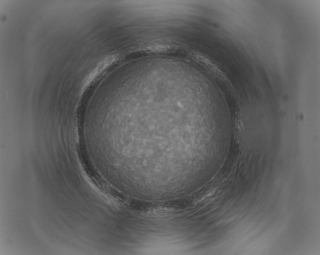 X0000070360734200606231622