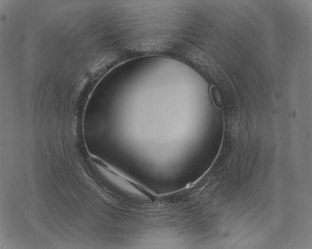 X0000070360735200606231622