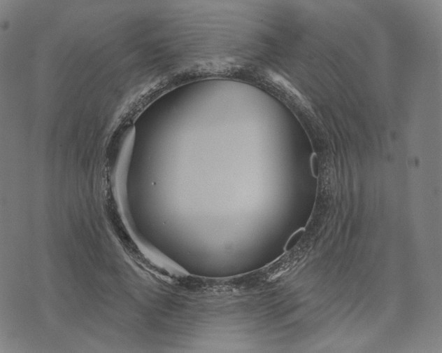 X0000070360736200606231622