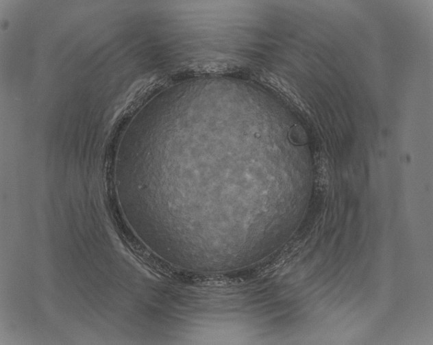 X0000070360738200606231622