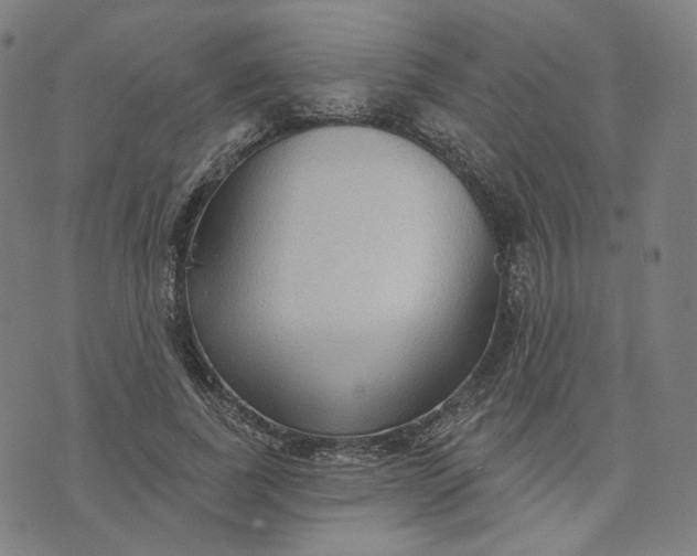 X0000070360739200606231622