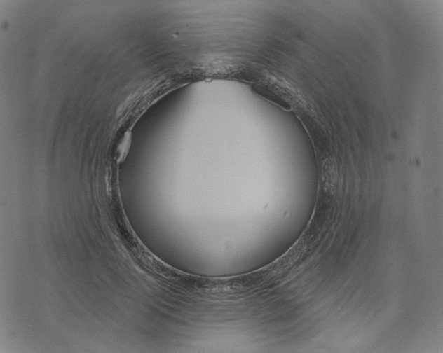 X0000070360740200606231622