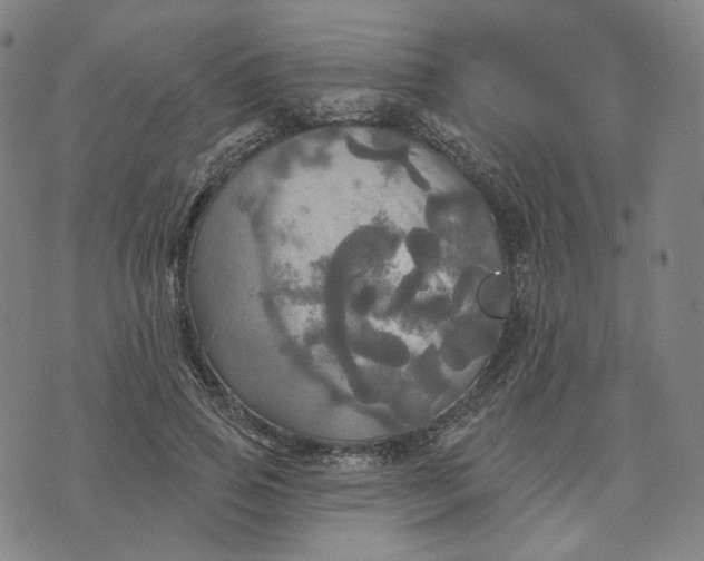 X0000070360741200606231622