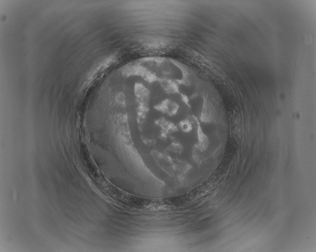 X0000070360742200606231622