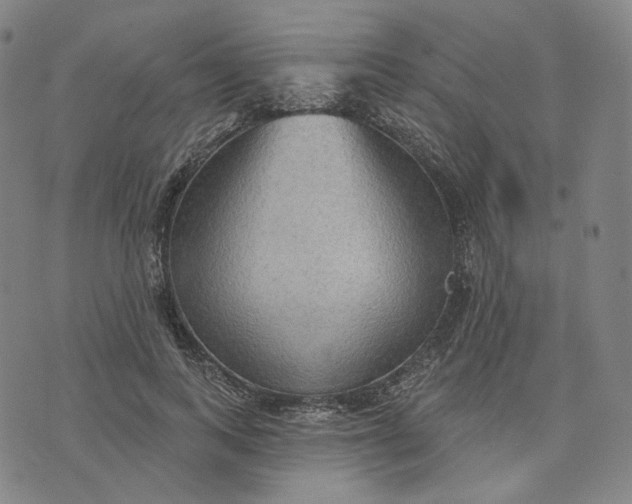 X0000070360743200606231622