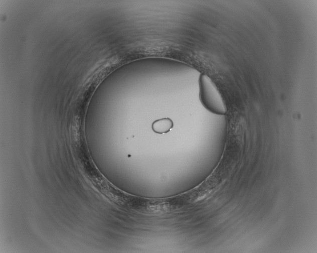 X0000070360744200606231622