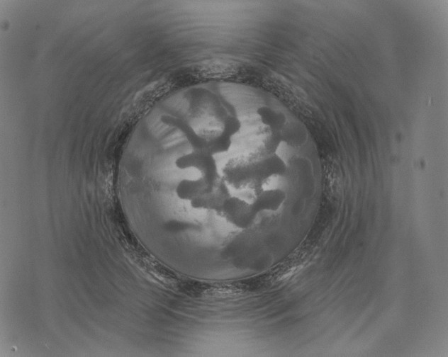 X0000070360745200606231622