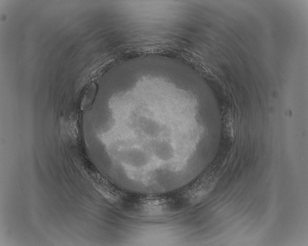 X0000070360746200606231622