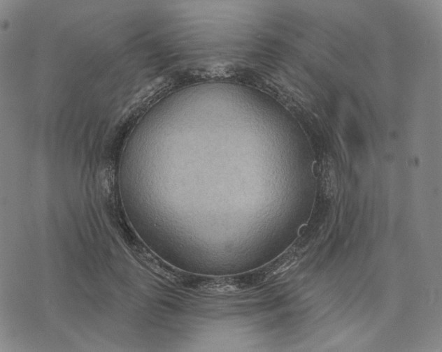 X0000070360747200606231622