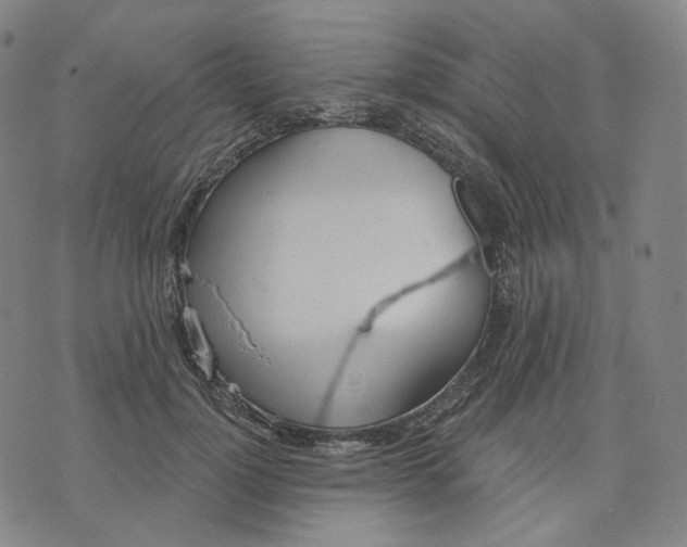 X0000070360748200606231622