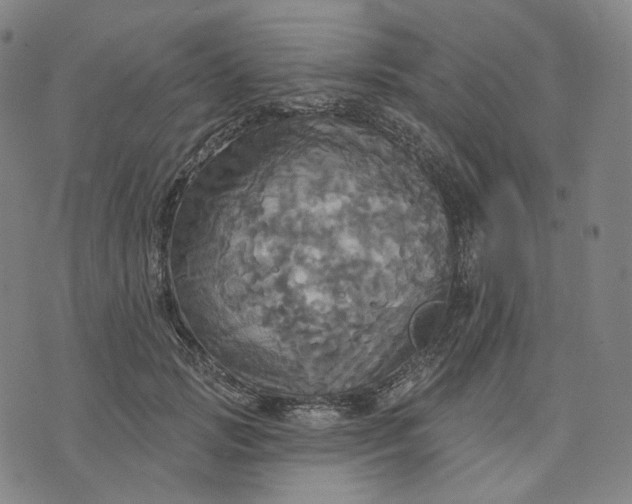 X0000070360749200606231622