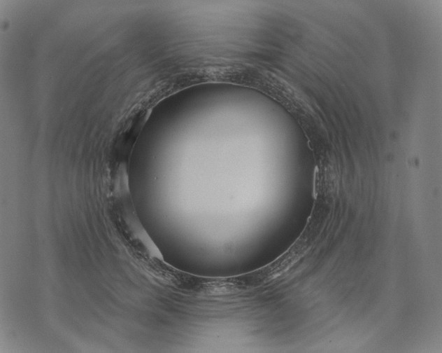 X0000070360750200606231622