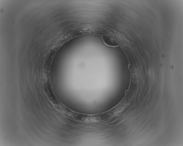 X0000070360751200606231622