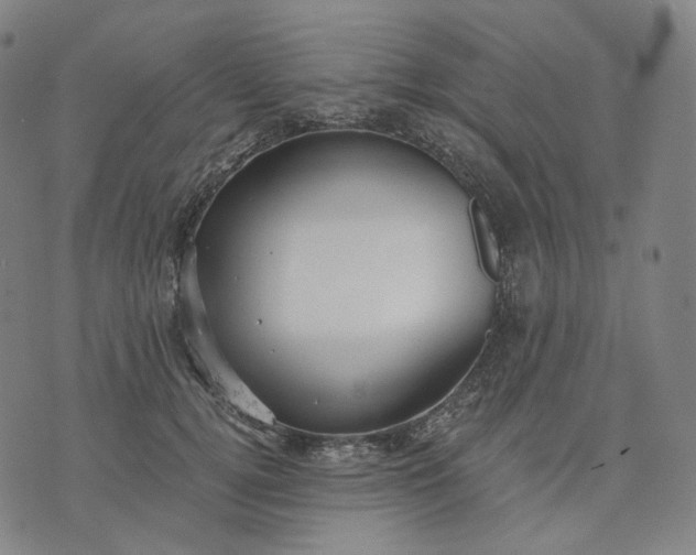 X0000070360752200606231622