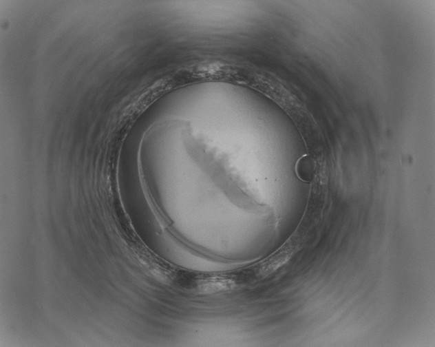 X0000070360754200606231622