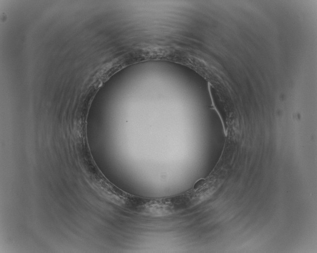 X0000070360756200606231622