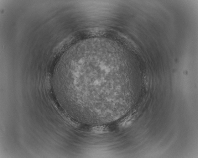 X0000070360757200606231622