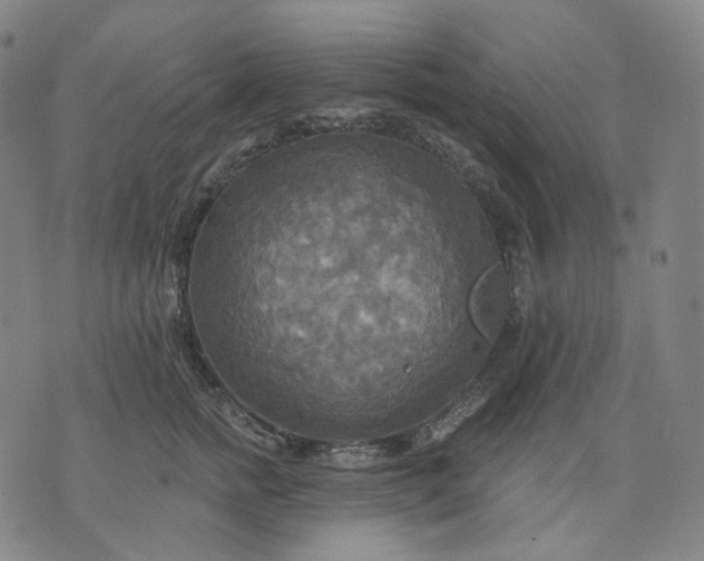 X0000070360758200606231622