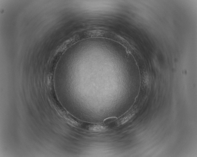 X0000070360759200606231622