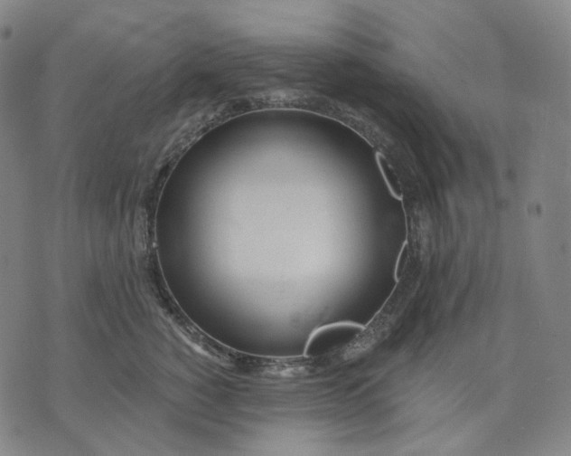 X0000070360760200606231622