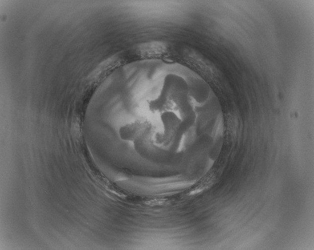 X0000070360761200606231622