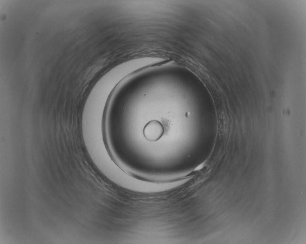 X0000070360762200606231622