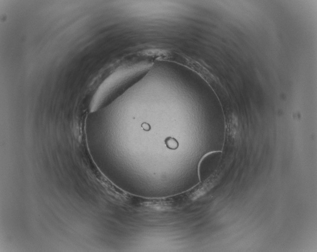 X0000070360763200606231622