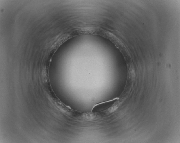 X0000070360764200606231622