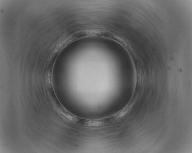 X0000070360766200606231622