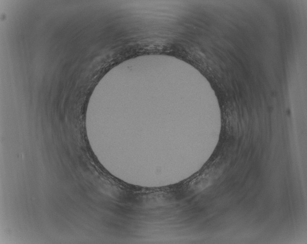 X0000070360769200606231621