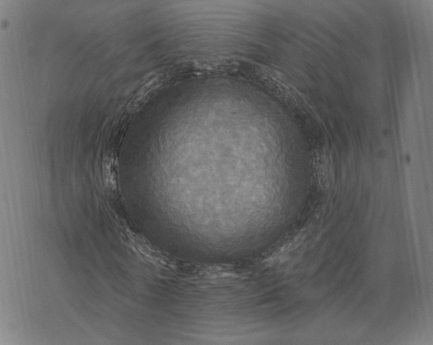 X0000070360770200606231621