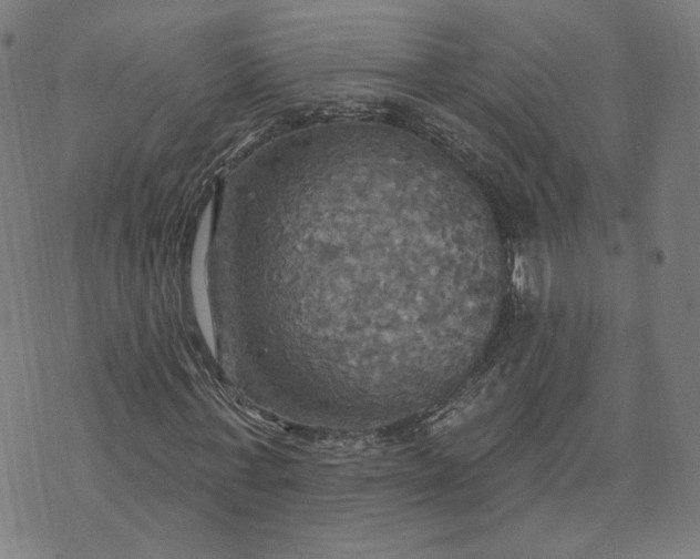 X0000070360771200606231621