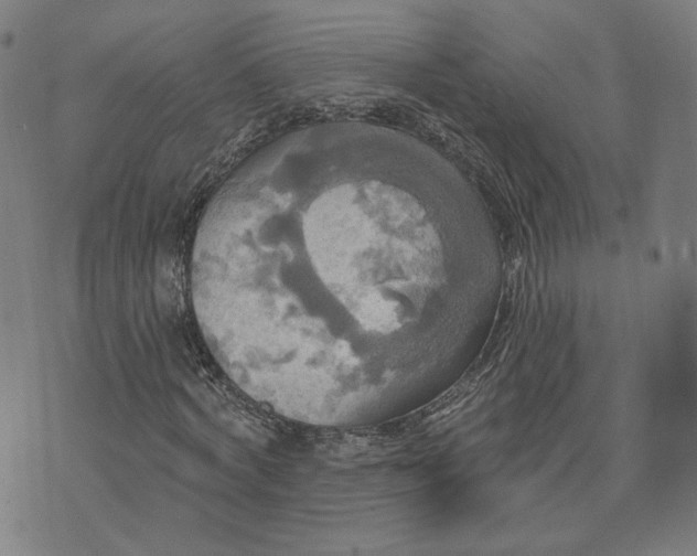 X0000070360772200606231621