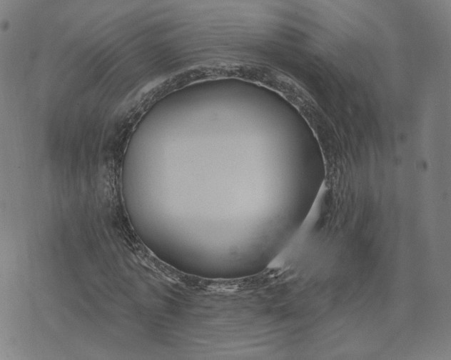 X0000070360773200606231621