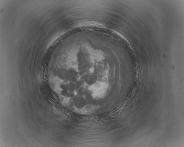 X0000070360775200606231621