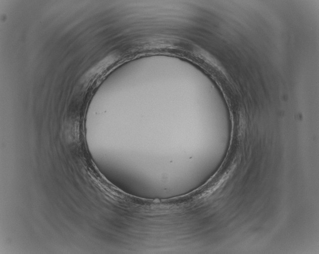 X0000070360777200606231621