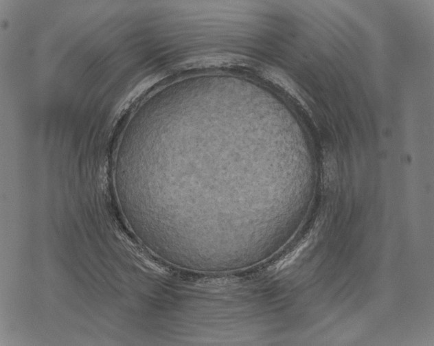 X0000070360778200606231621