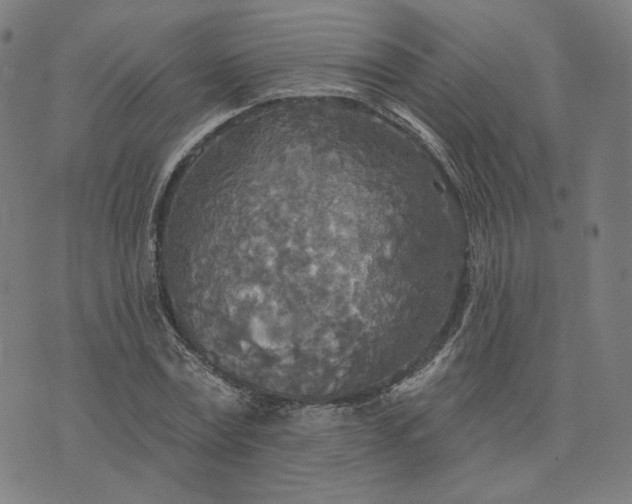 X0000070360779200606231621