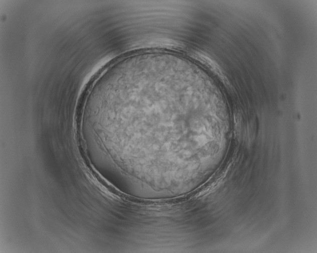 X0000070360780200606231621