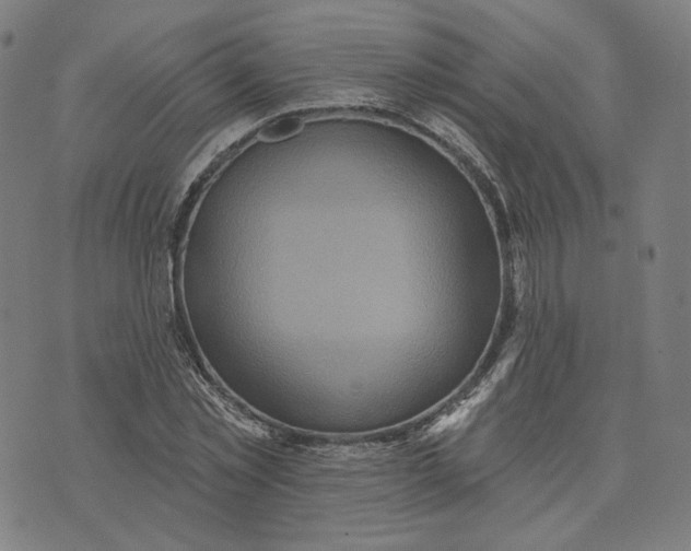 X0000070360781200606231621