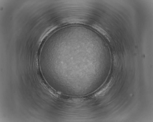 X0000070360782200606231621