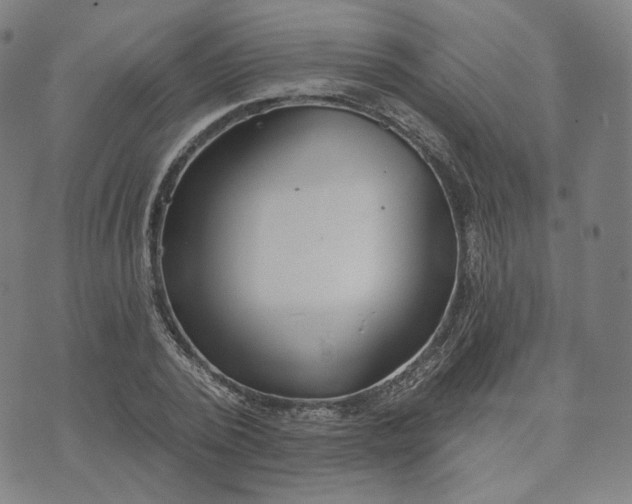 X0000070360784200606231621