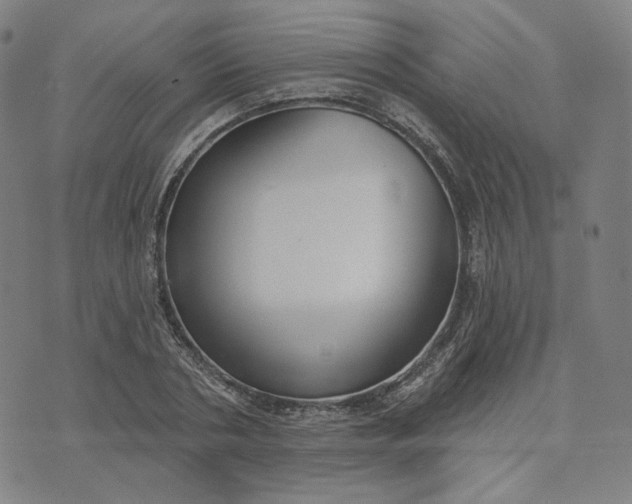 X0000070360786200606231621