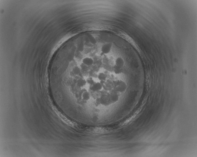 X0000070360787200606231621