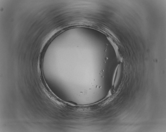 X0000070360788200606231621