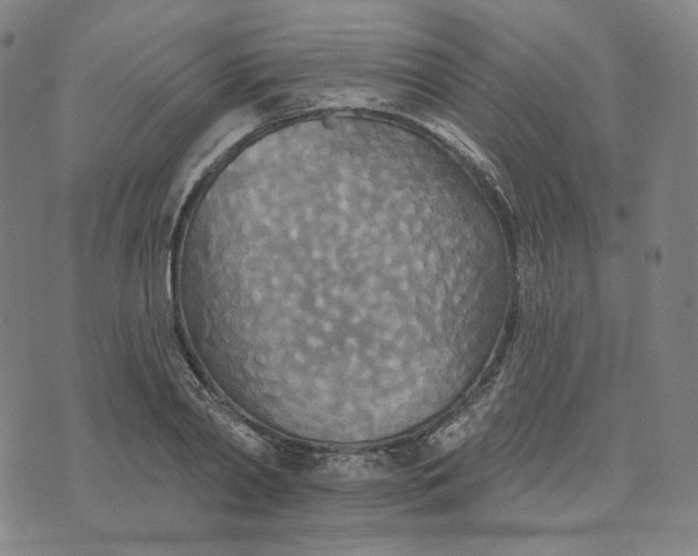 X0000070360790200606231621