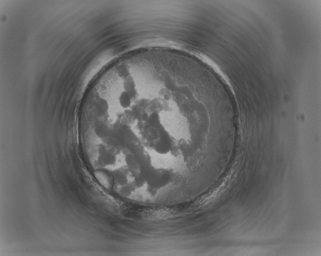 X0000070360791200606231621