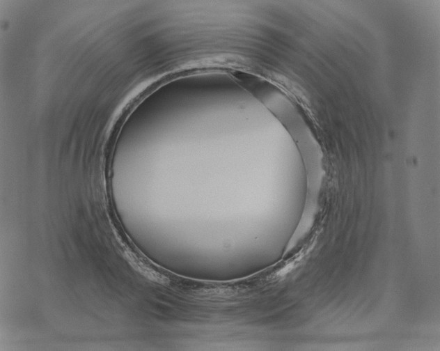 X0000070360792200606231621