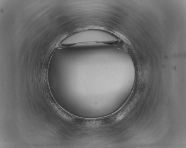 X0000070360793200606231621